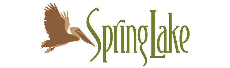 Spring Lake Skilled Nursing & Rehabilitation